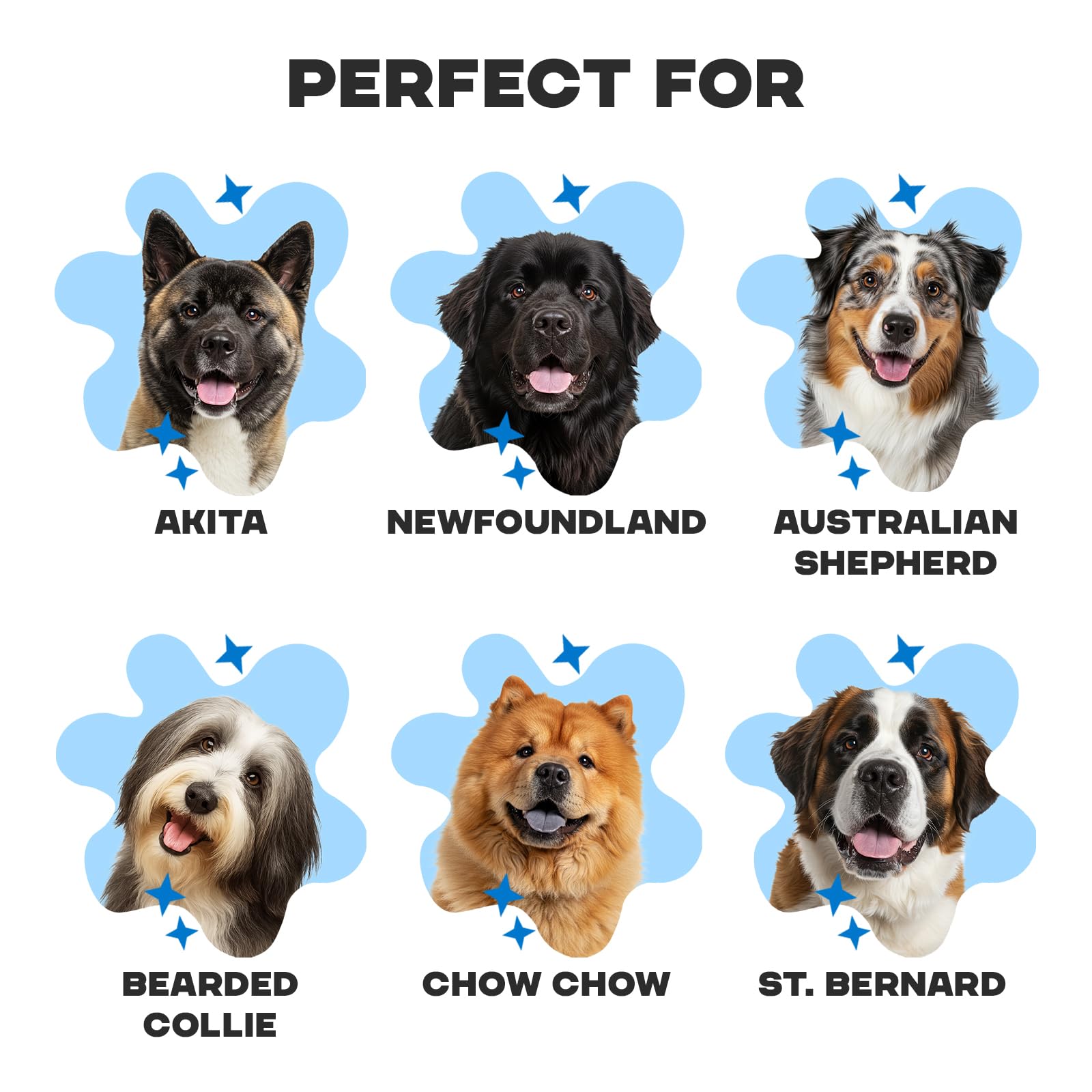 Dirty Bertie Double Coat Dog Shampoo with Activated Charcoal, Vegan Dog Grooming Shampoo for Labradors Golden Retrievers - Image 4