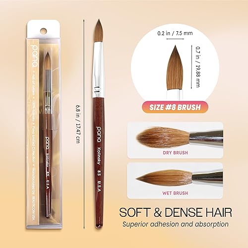 Miniatura 3 de PANA Pure Kolinsky - Cepillo de uñas acrílicas para el cabello, forma ovalada prensada con mango de madera de caoba (talla 8)