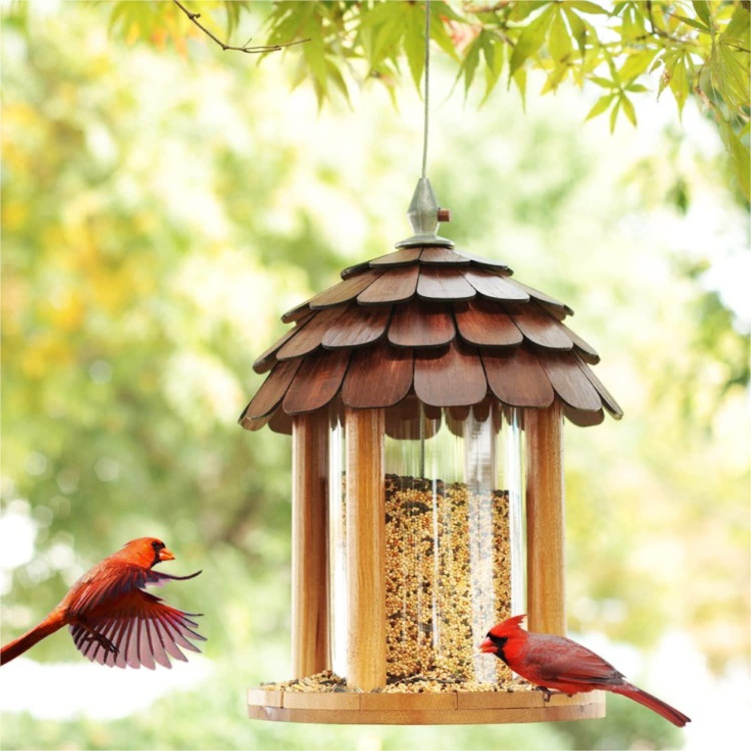 Vogelfutterhaus Im Freien Hängende Regendichte Zufuhr-Vogel-Haus-Garten-Dekorations-Vogel-Futterstation Bird Feeder