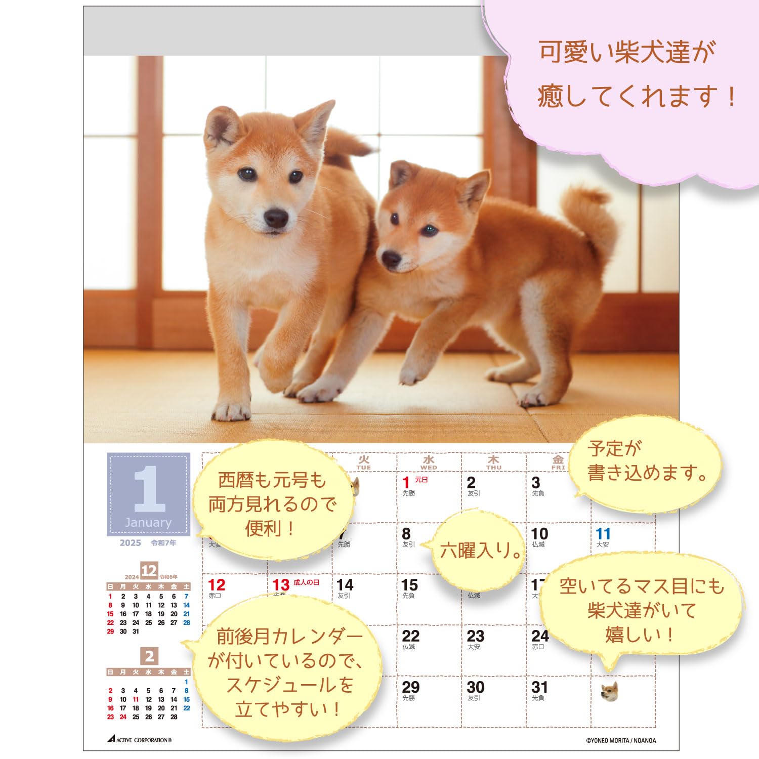 Amazon.co.jp: アクティブコーポレーション 2025年 カレンダー
