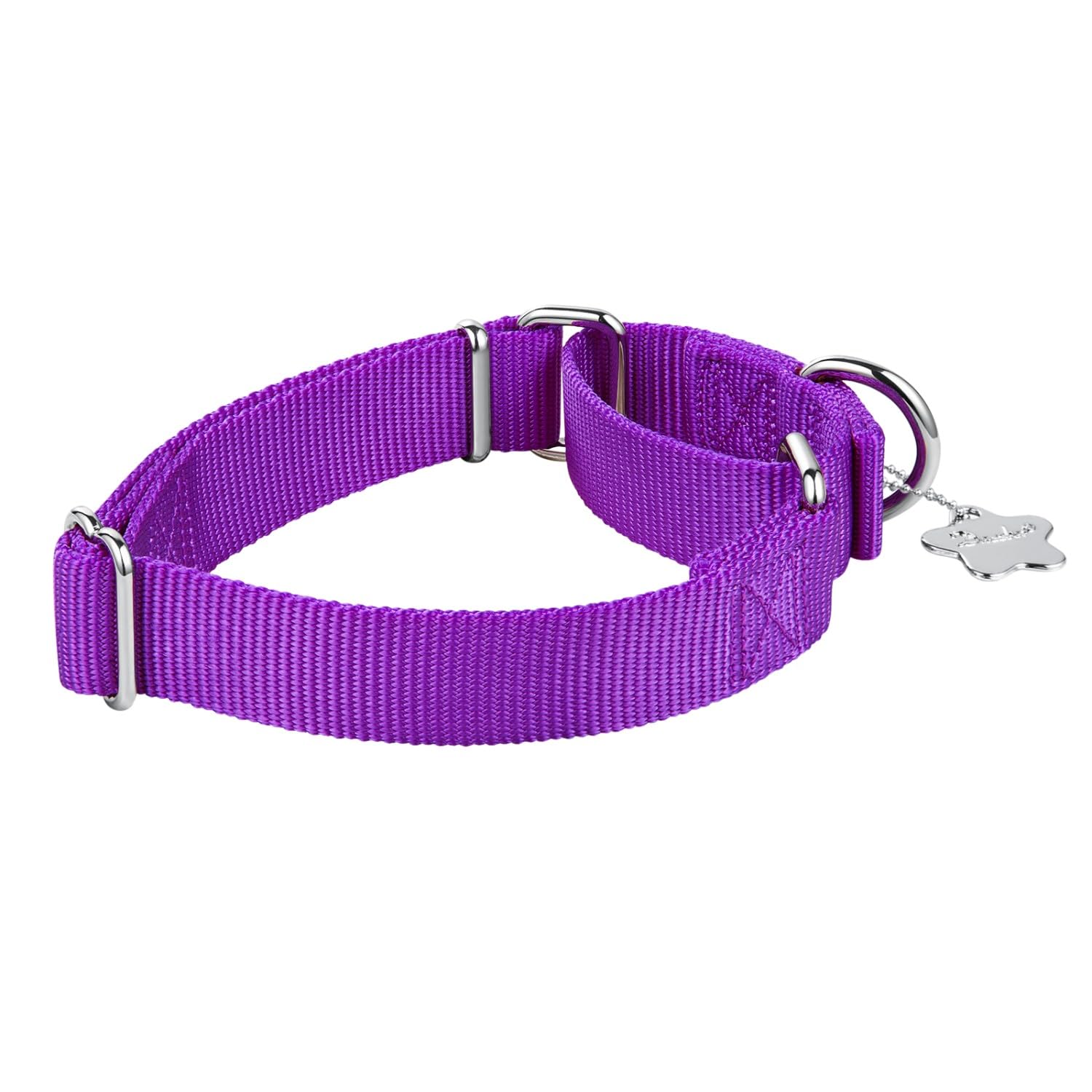 No Pull Dog Collar Cyclpet Martingale Dog Collar Nylon No