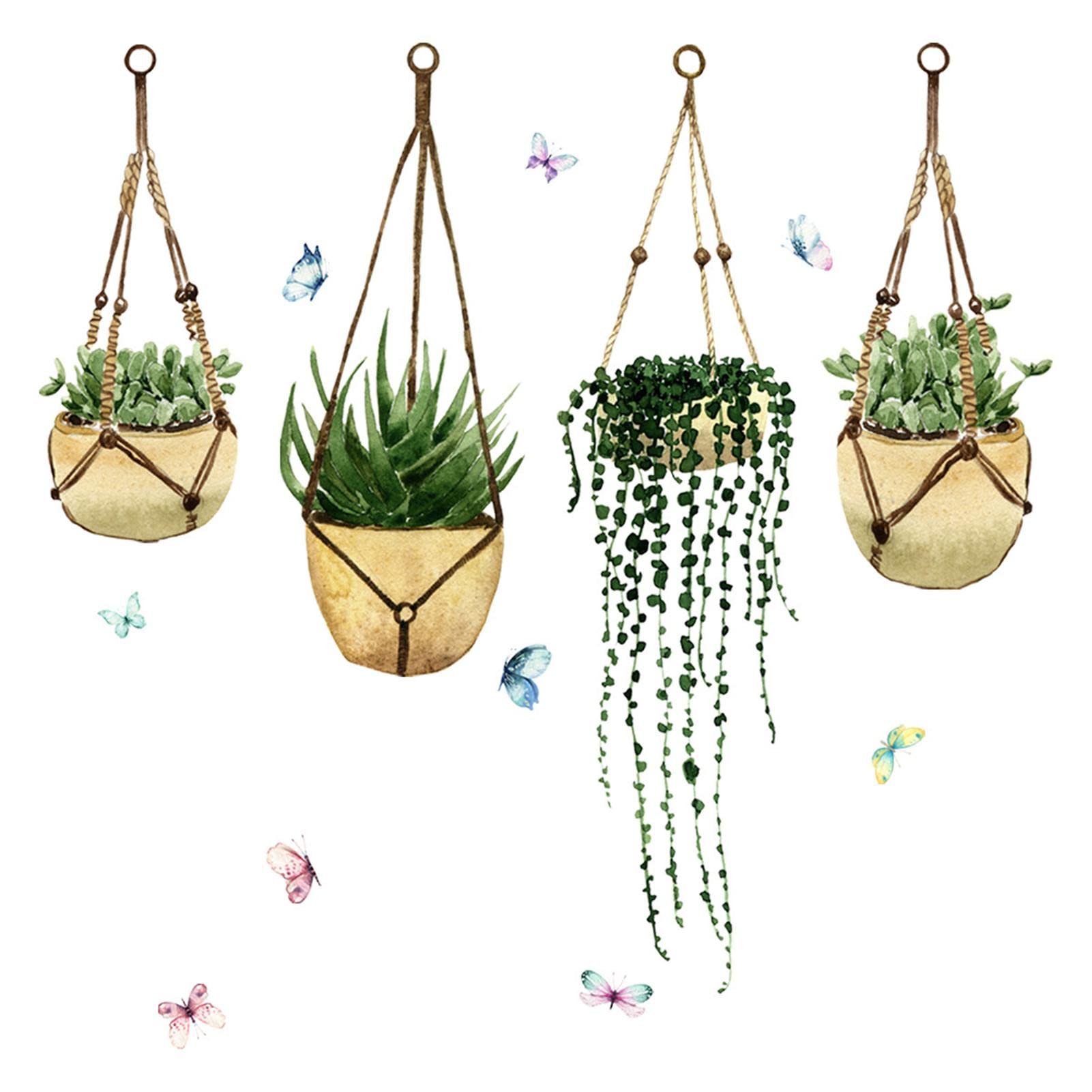 peace lily flower turned green Peace Lily Party Pack | Houseplants for Delivery