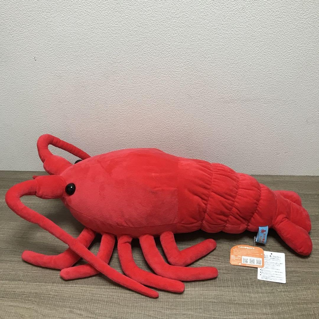 Amazon.co.jp: くったり伊勢エビ3 ウルトラBIG 65cm 伊勢エビ