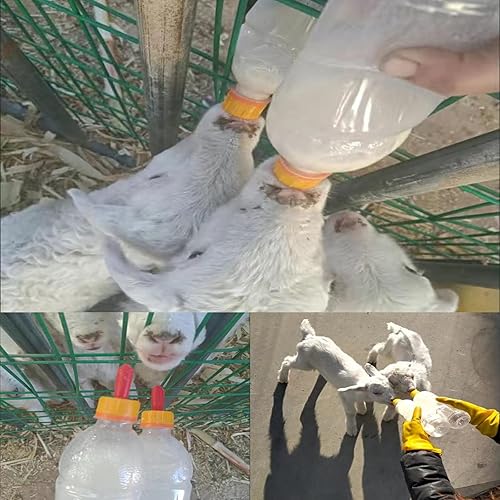 Miniatura 4 de 12 pezones de bebida de leche de cordero, chupete de goma suave para lactancia, corderos, cabras, niños, cachorros, potro, ternero, animal pequeño,