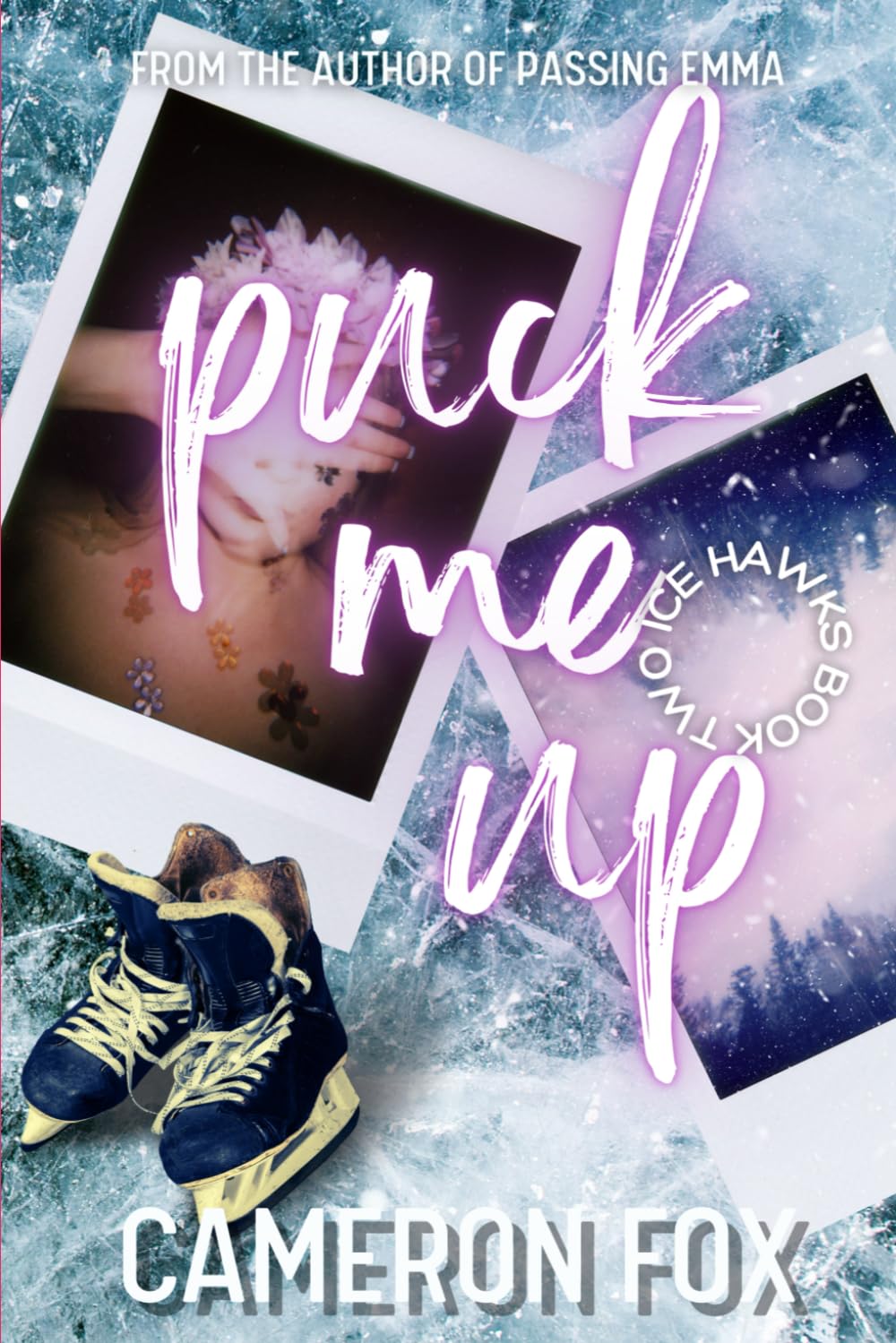 Puck Me Up: A Reverse Harem Romance: 2 (The Ice Hawks Hockey Series)