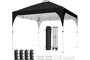 10x10 Black Pop-Up Canopy Tent Instant Sun Shelter with Wheeled Bag