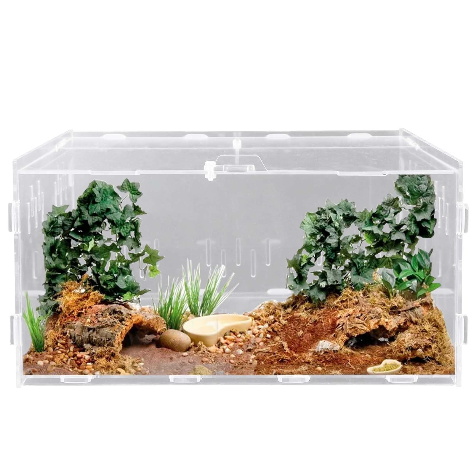 Boîte d'alimentation en acrylique pour reptiles, tortues, araignées, hamsters