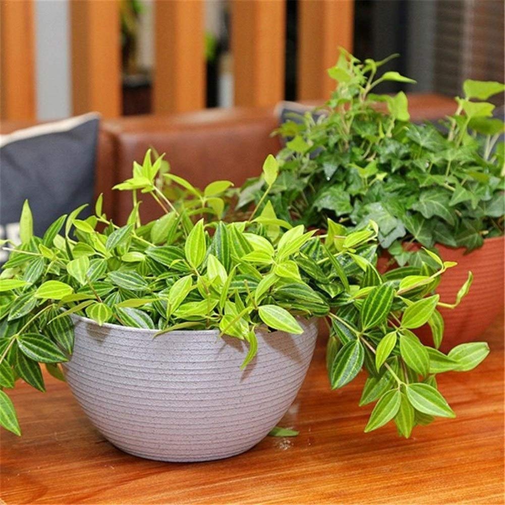 Pentole Pianta Hanging Planter semi-circolare di fiori Self-assorbente Holder piante da giardino decorazione dell'interno cesti appesi all'aperto irrigazione Per tutte le piante da casa, i fiori, le e
