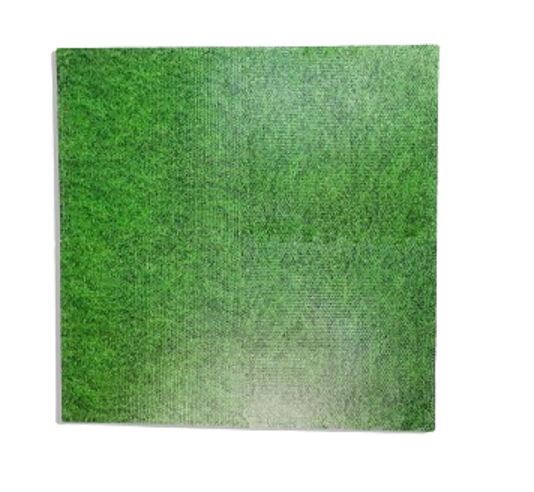 Interlocking Floor Mats Soft Foam Exercise, Mats Non slip Rubber Cushion Puzzle EVA tiles Waterproof Gym Fitness Garage Home Office Workout Yoga Size 60 cm x 60 cm (Grass Mat, 96Sq Ft-24)