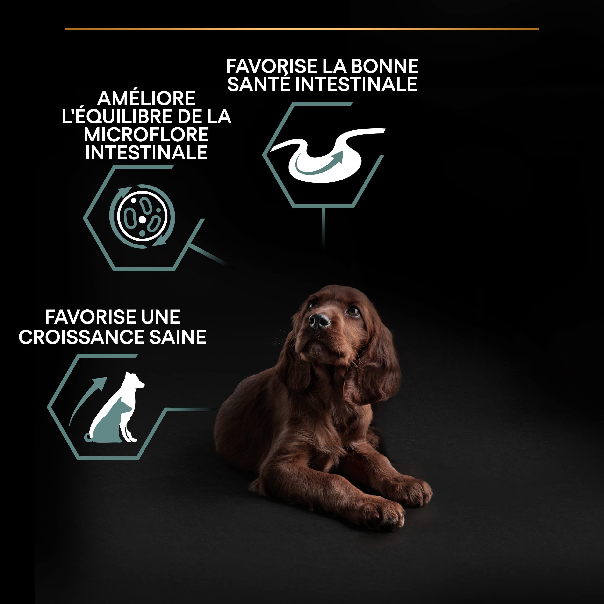 PURINA PRO PLAN | Sensitive Digestion | Croquettes complètes pour chiot de grande taille & corpulence athlétique | Favorise un système digestif sain | Riche en Agneau | Croquettes | Sac de 12kg