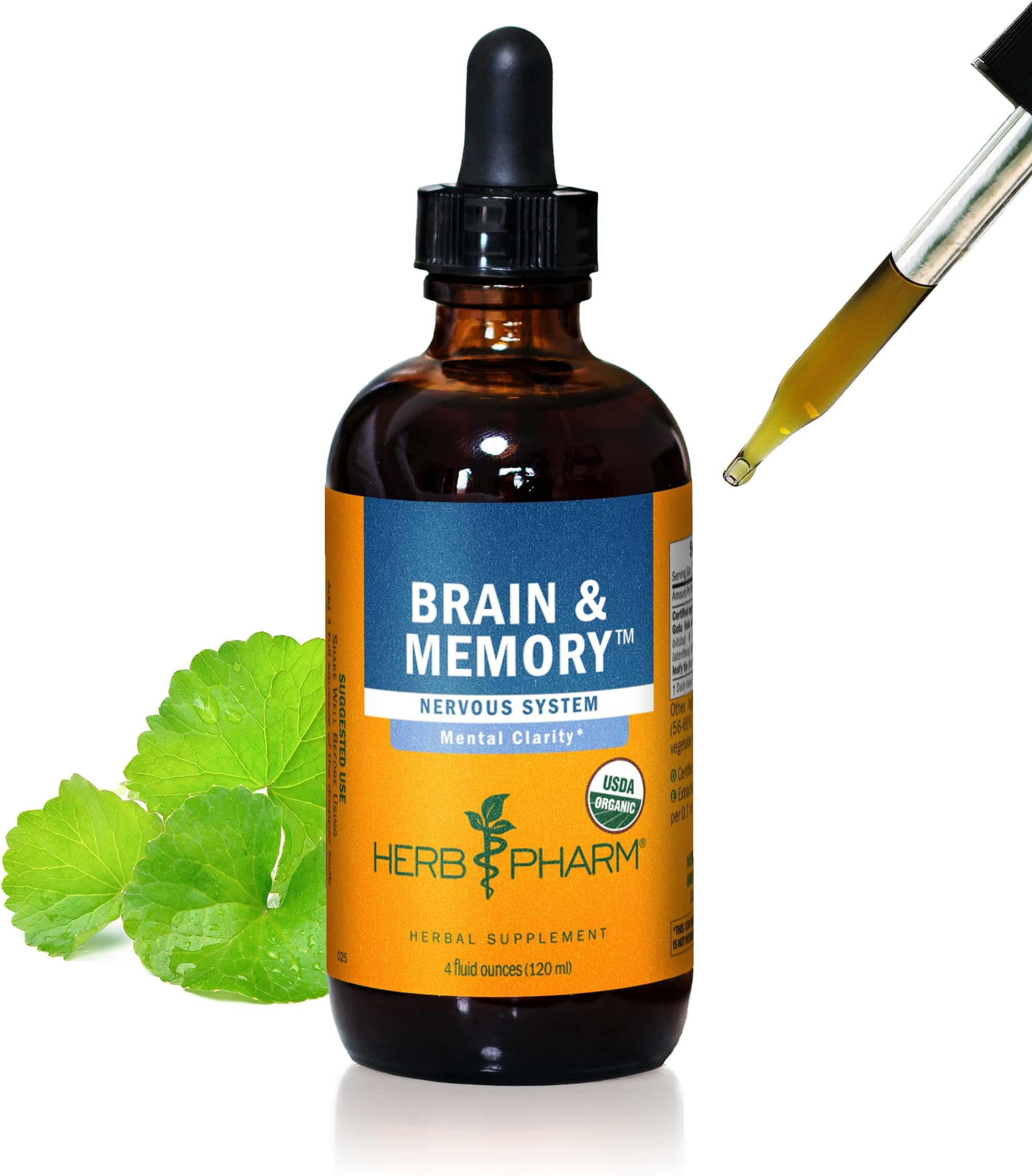 Brain and Memory Liquid Herbal Formula with Ginkgo for Memory and Concentration, 4 Fl Oz