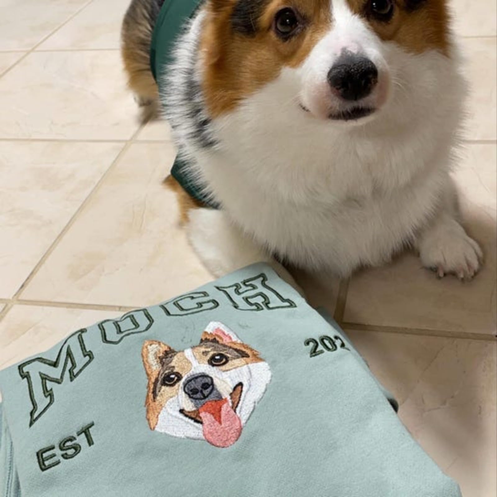 Sudadera con capucha y nombre bordado, personalizada para mascotas con foto