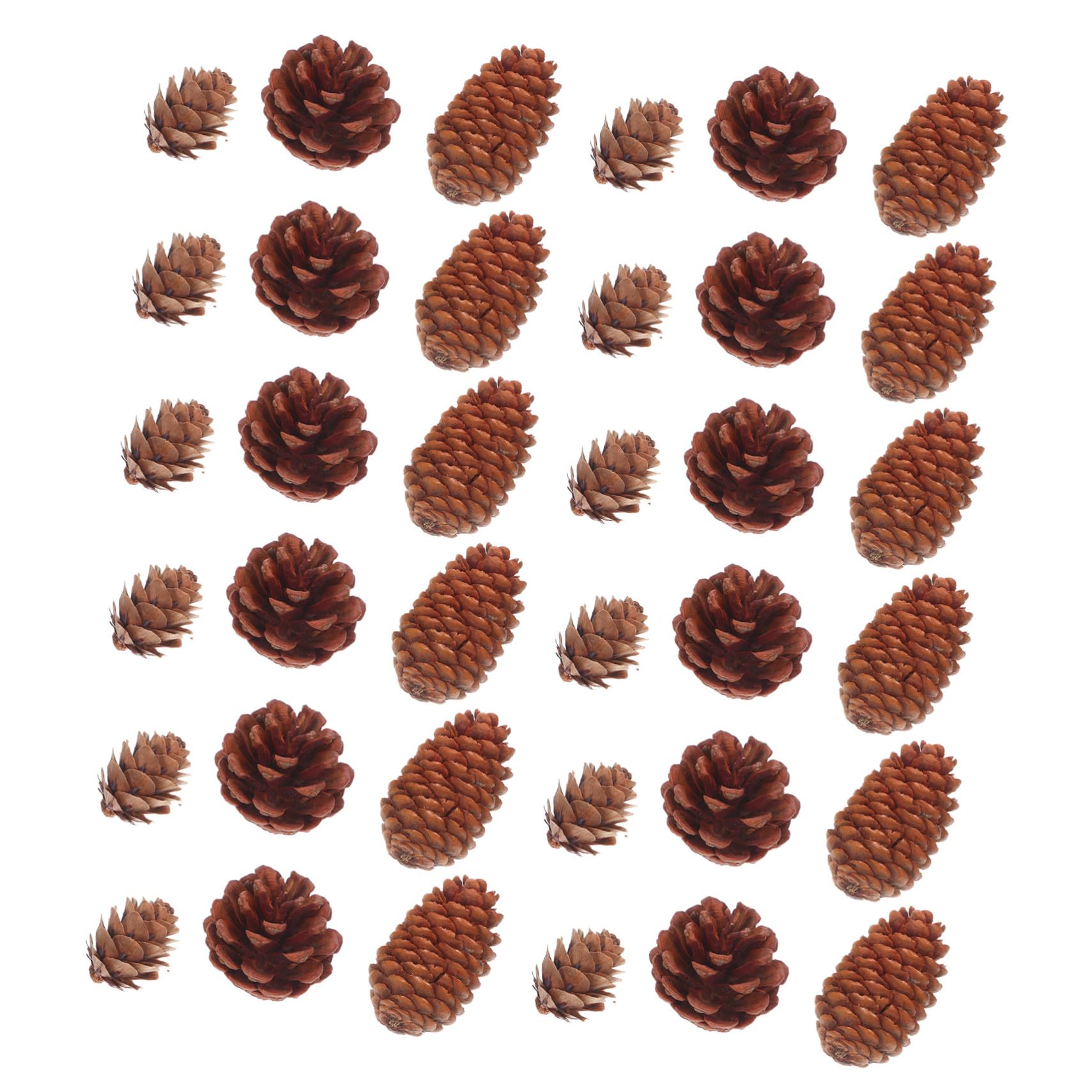 120 Piezas De Piñas Secas Adornos Navideños Piñas Naturales Relleno para Jarrones Café