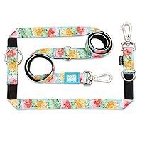 Max & Molly - Guinzaglio multifunzione per cani, 2 m