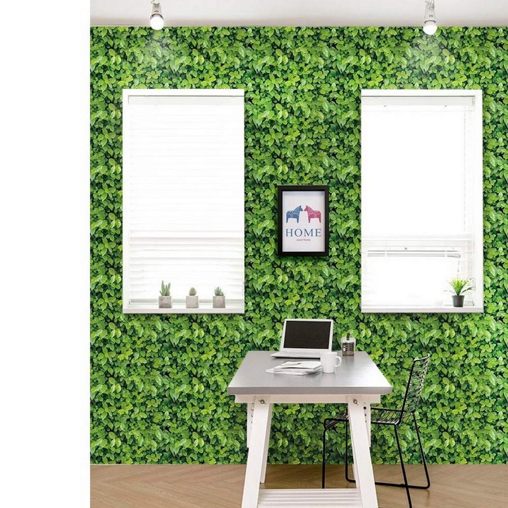 See full amazon price history chart for Univocean Natural Effect Green Grass Home Wallpaper, 3D Pattern Self Adhesive Peel and Stick Wall Paper (PVC Vinyl Stickers, 500 x 45 cm, Green) Univocean Natural Effect Green Grass Home Wallpaper, 3D Pattern Self Adhesive Peel and Stick Wall Paper (PVC Vinyl Stickers, 500 x 45 cm, Green) (B08R7FBL28) Amazon Price History, Amazon Price Tracker