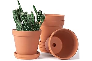 6 Inch Flower Pots to Paint, Terracotta Clay Pots with Drainage Hole...