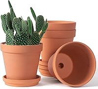 Orceler 6 Inch Terracotta Clay Pots with Saucers & Drainage - Pack of 4 for Succulents, Herbs, Indoor Outdoor Plants