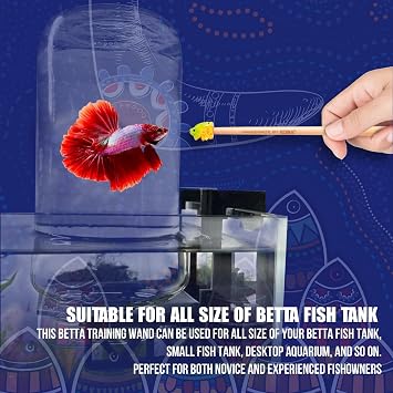 KOIKA Fish Training Stick Toys for Betta Fish Interactive Training Wand for Exercise & Mental Stimulation, Fish Tank Decor Accessory