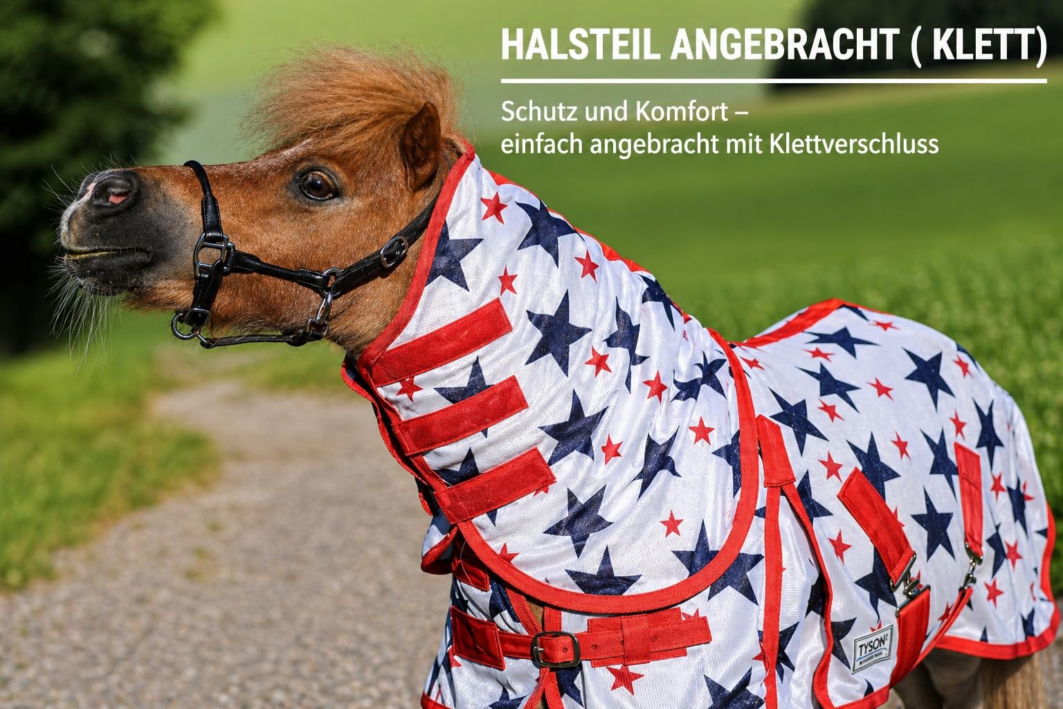 Fliegendecke Minishetty Shetty Welsh Fohlen Falabella 70 75 80 85 90 95 100 cm Sterne Mash Fliegenschutz Sterni Decke Fliegen Decke (80cm)
