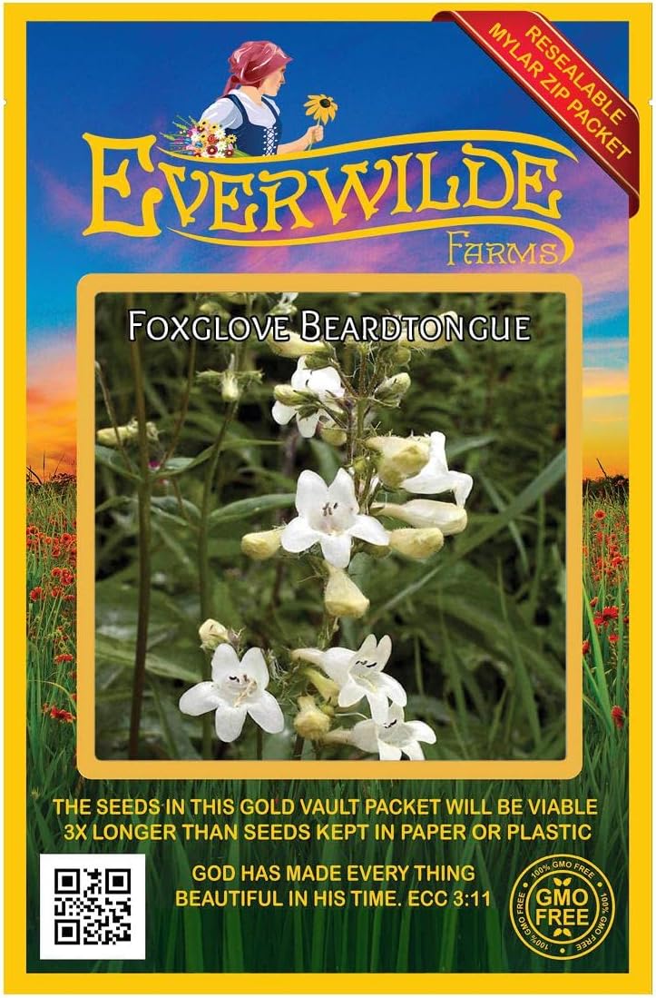 Everwilde Farms - 1 Lb Foxglove Beardtongue Native Wildflower Seeds - Gold Vault