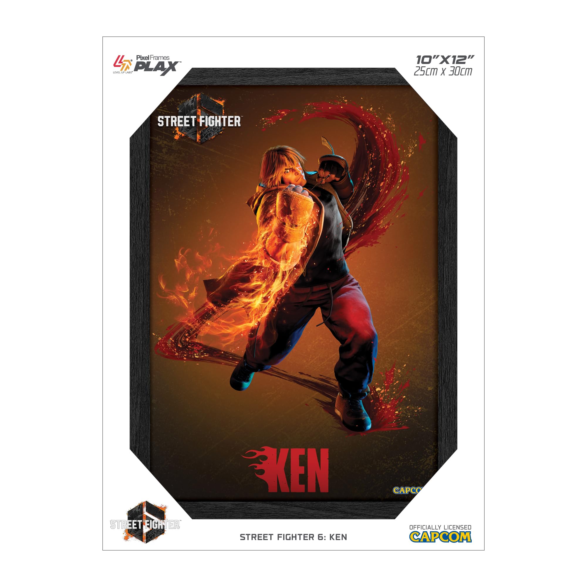 Amazon.com: Level Up Labs Pixel Frames PLAX: Street Fighter 6: Ken