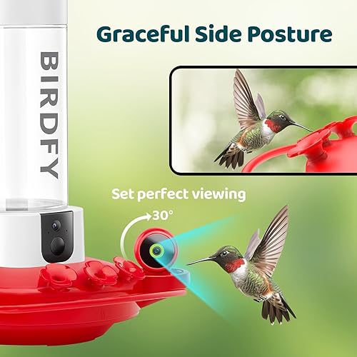 Miniatura 5 de NETVUE Birdfy - Comedero para colibríes con cámara, cámaras inteligentes duales 2K, observación de aves en primer plano, IA gratuita para