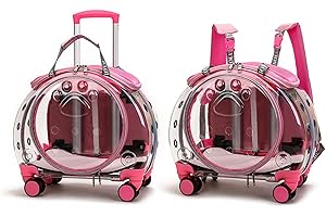 Convenient Cat Stroller with Noiseless Rolling for Serene Commute