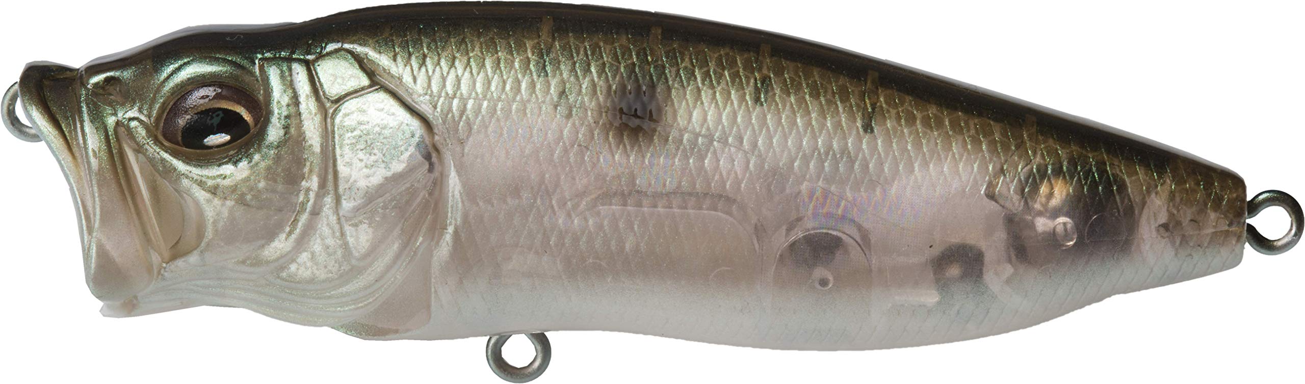 Amazon.co.jp: メガバス(Megabass) PopMax トップウォーター