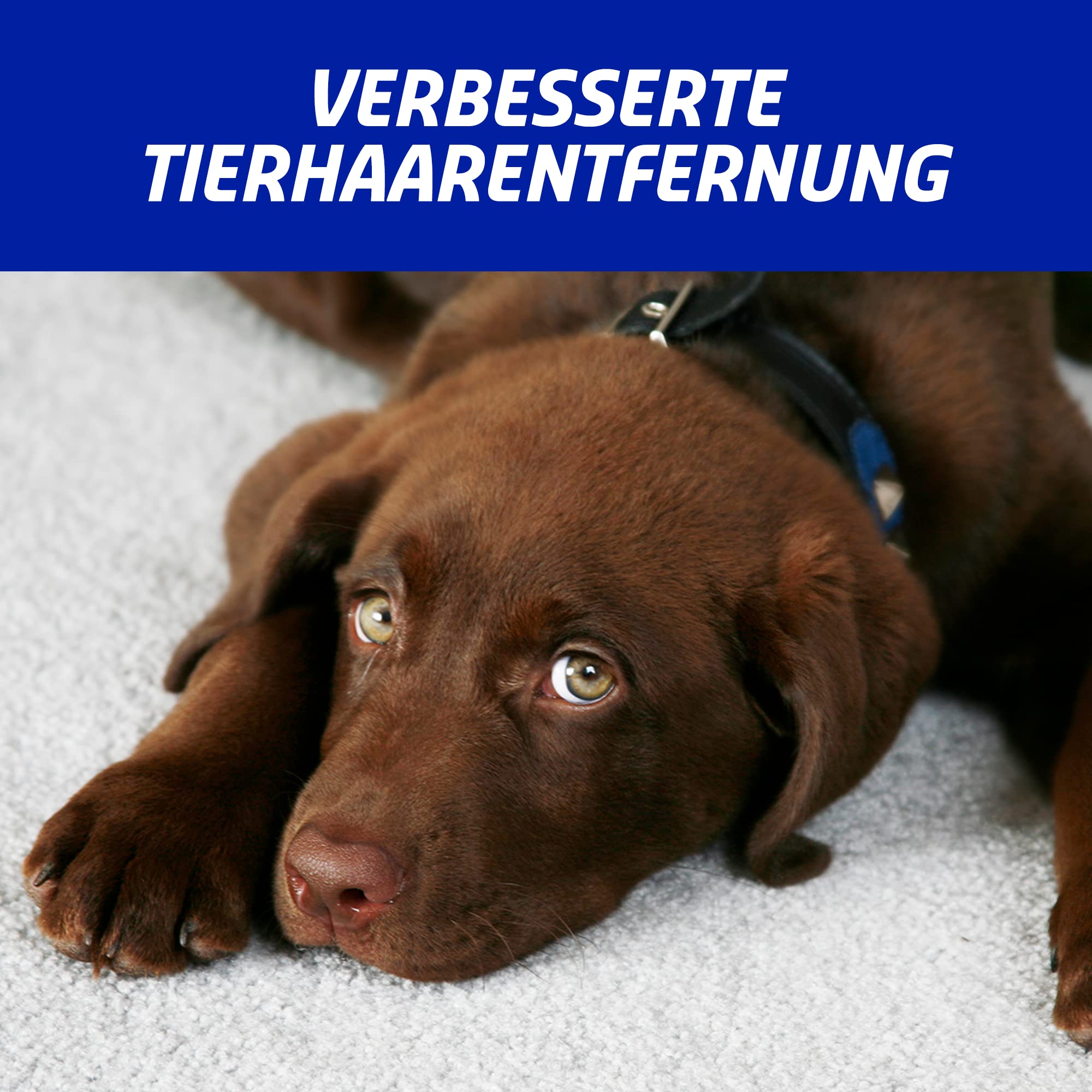 Vanish Polster- und Teppichreiniger Schaum – 4 x 650 ml – Reinigungsmittel für Teppich und Polster – Extra stark gegen Schmutz, schlechten Geruch und Staub