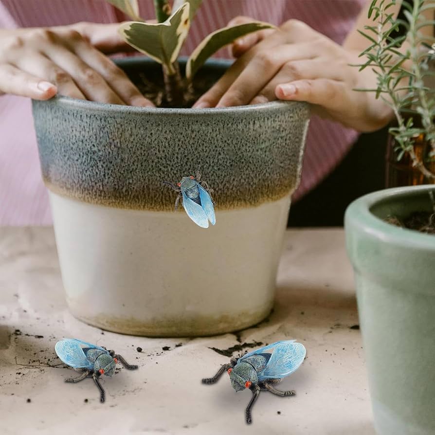 Amazon.co.jp: 蝉のおもちゃ - リアルな昆虫のおもちゃ