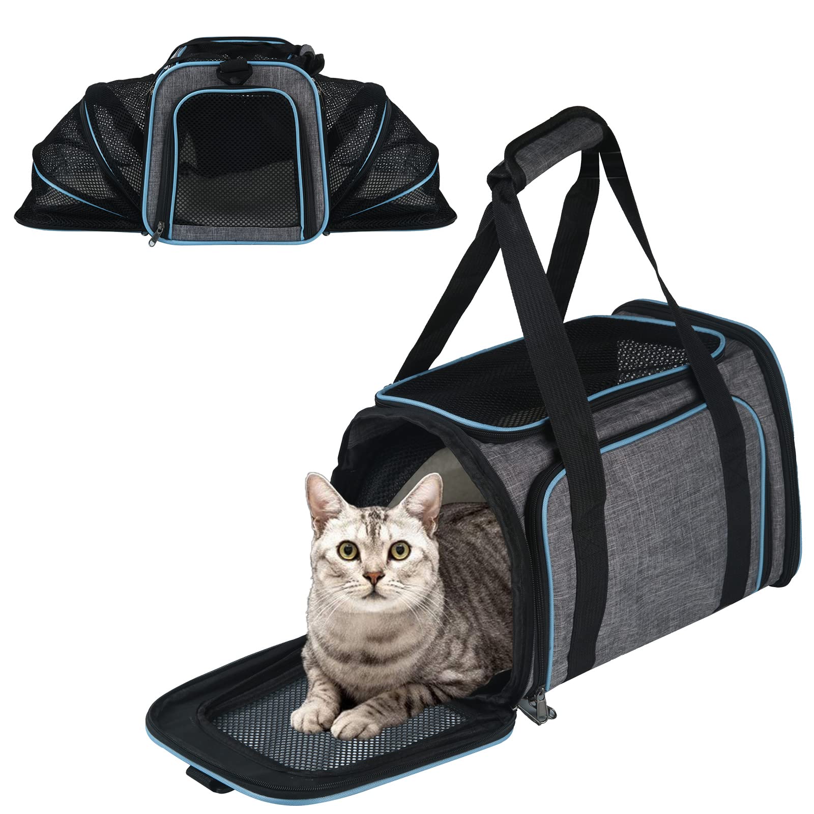 Sac de Transport Chat Chien Extensible Respirant, Sac à Main Bandoulière Pliable pour Animal de Compagnie avec Matelas Amovible, Cage de Transport pour Camping Randonnées Voyage (M)