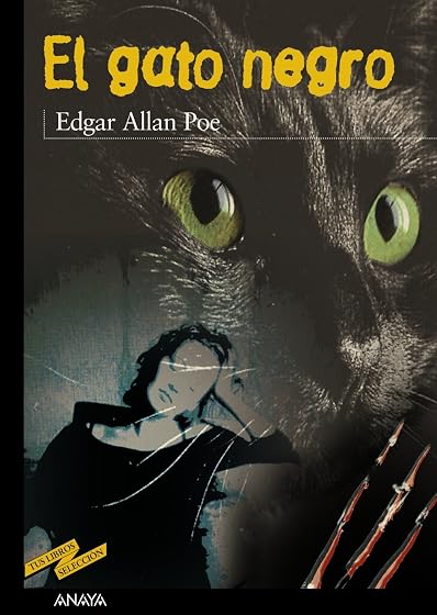 El gato negro