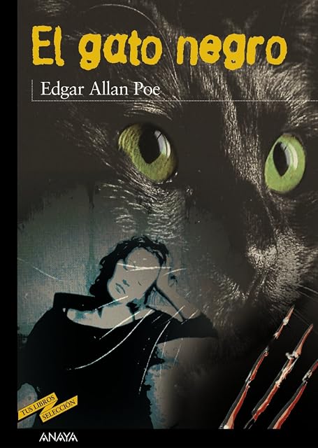 Portada de El gato negro