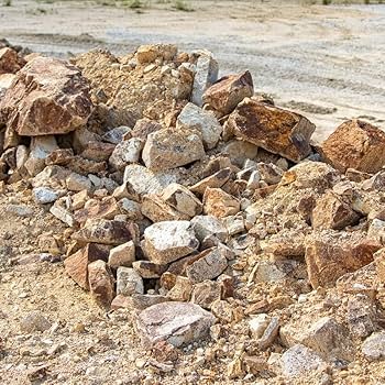 【中古】 ＥＤＥＮ １/マッグガーデン 中古】 EDEN 1/マッグガーデン