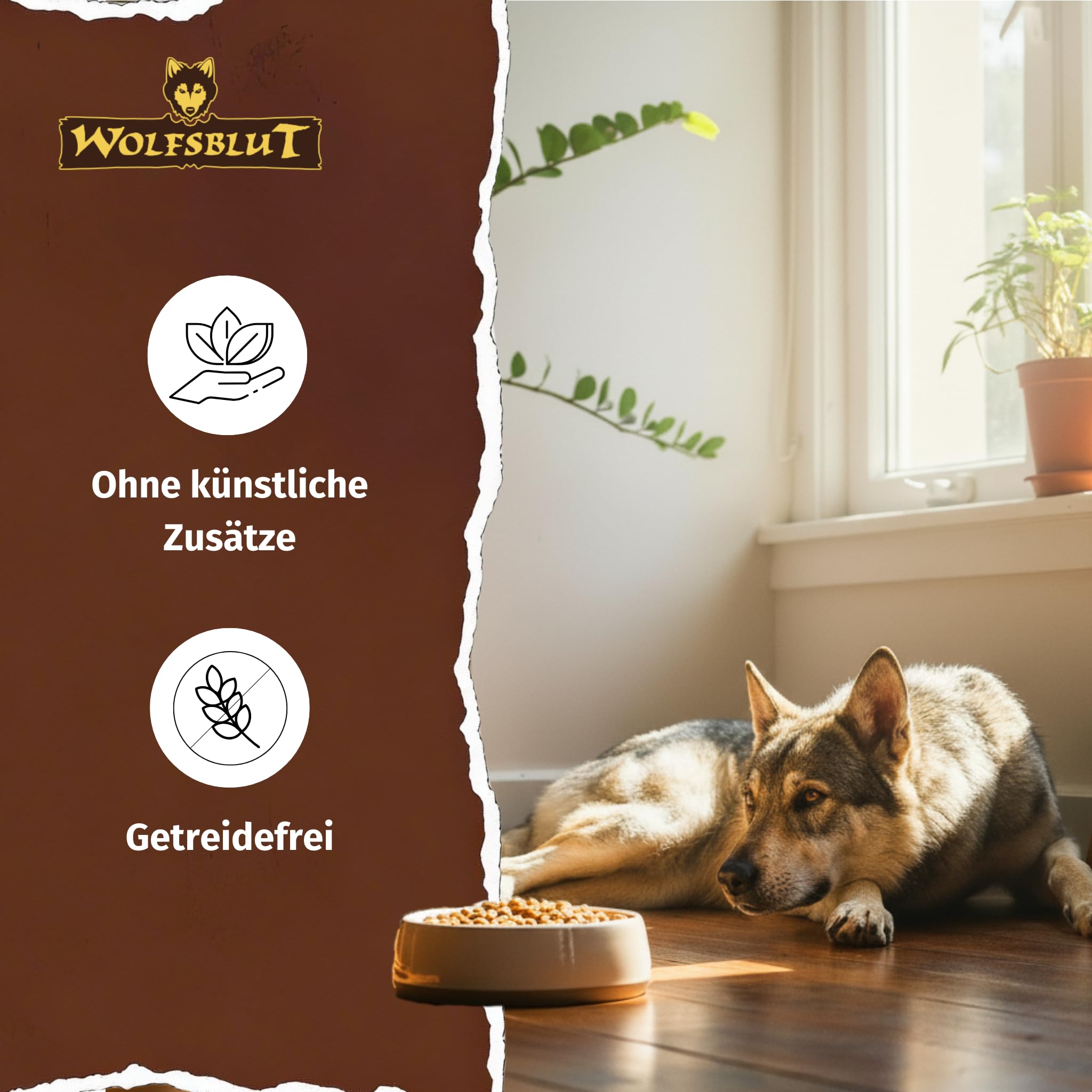 WOLFSBLUT – Green Valley Adult | Trockenfutter mit natürlichen Zutaten und Superfoods für ausgewachsene Hunde. Getreidefreies Alleinfutter ohne Zusatzstoffe im Beutel | 12,5kg Lamm und Lachs
