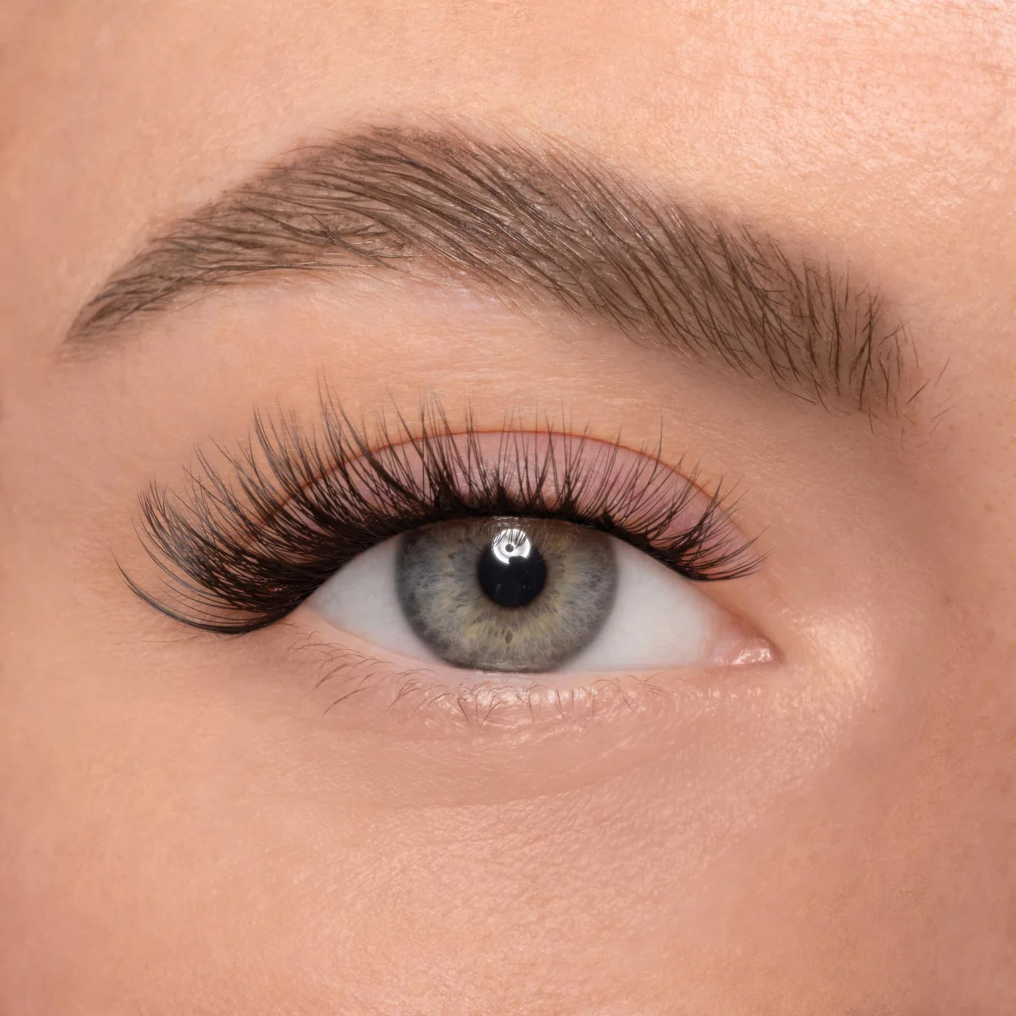 AYLASHES DIY Wimpernextensions Maxi Box 6 Paar künstliche Wimpern Cat Eye Lashes Set