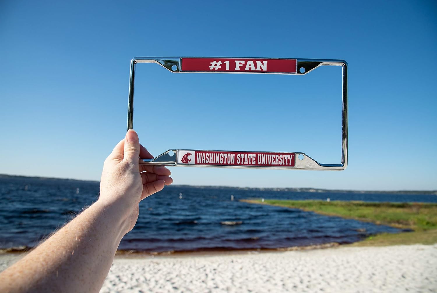Desert Cactus Washington State University License Plate Frame Car Tag Holder for Front or Back of Car Cougars WSU Cougs Officially Licensed Metal (#1 Fan)