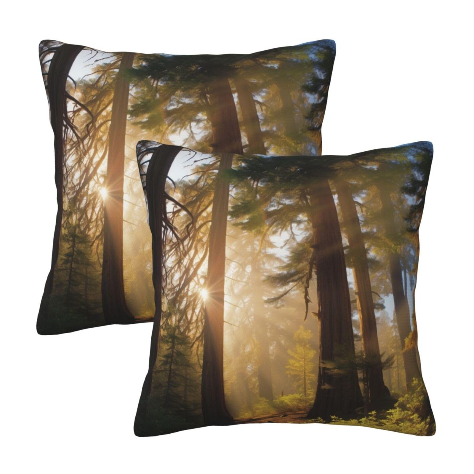 National Parks Sunshine Trees Throw Pillow Cases 2 Pack Square Pillowcases Soft Pillow Protectors for Couch Livingroom Sofa Bed Office Car,30x30 CM