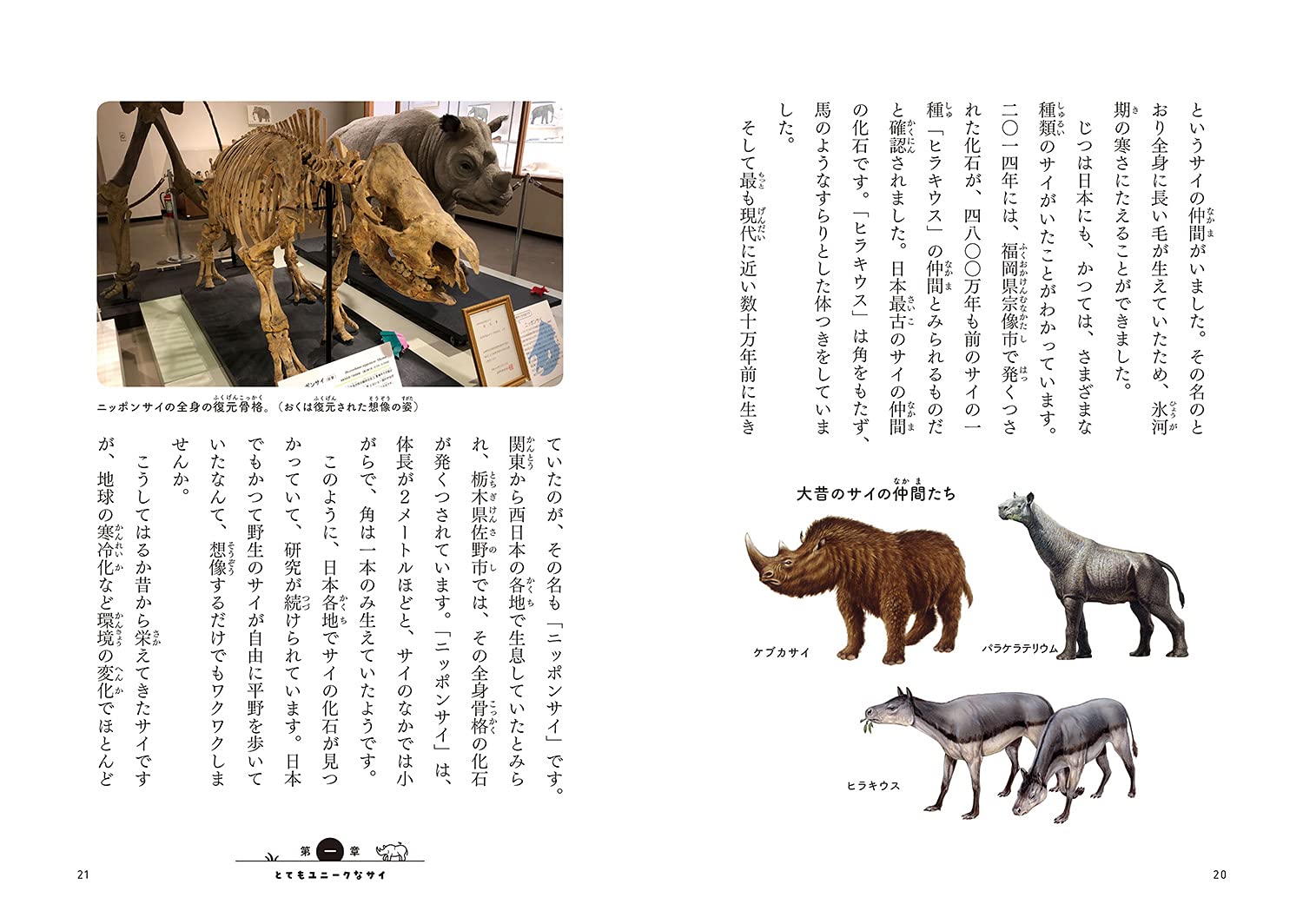 この世界からサイがいなくなってしまう アフリカでサイを守る人たち 環境ノンフィクション 味田村太郎 本 通販 Amazon