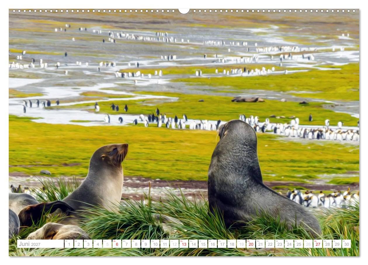 CALVENDO - Antarktis - Das Reich der Pinguine (hochwertiger Premium Wandkalender 2027 DIN A2 quer), Kunstdruck in Hochglanz: Antarktis - Lebensraum der Pinguine - Ein Blickfang im Büro und zu Hause