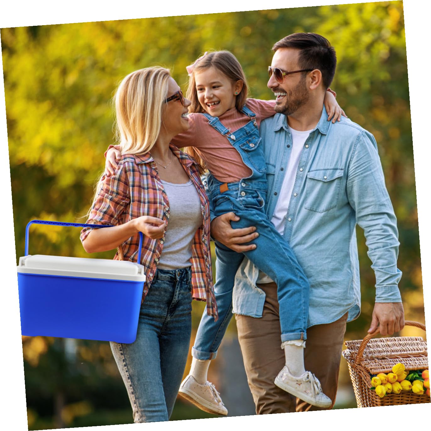 Toddmomy Cestino Refrigerante Portatile 12l in PVC con Manico, Box Termico per Alimenti Caldo e Freddo, per Picnic