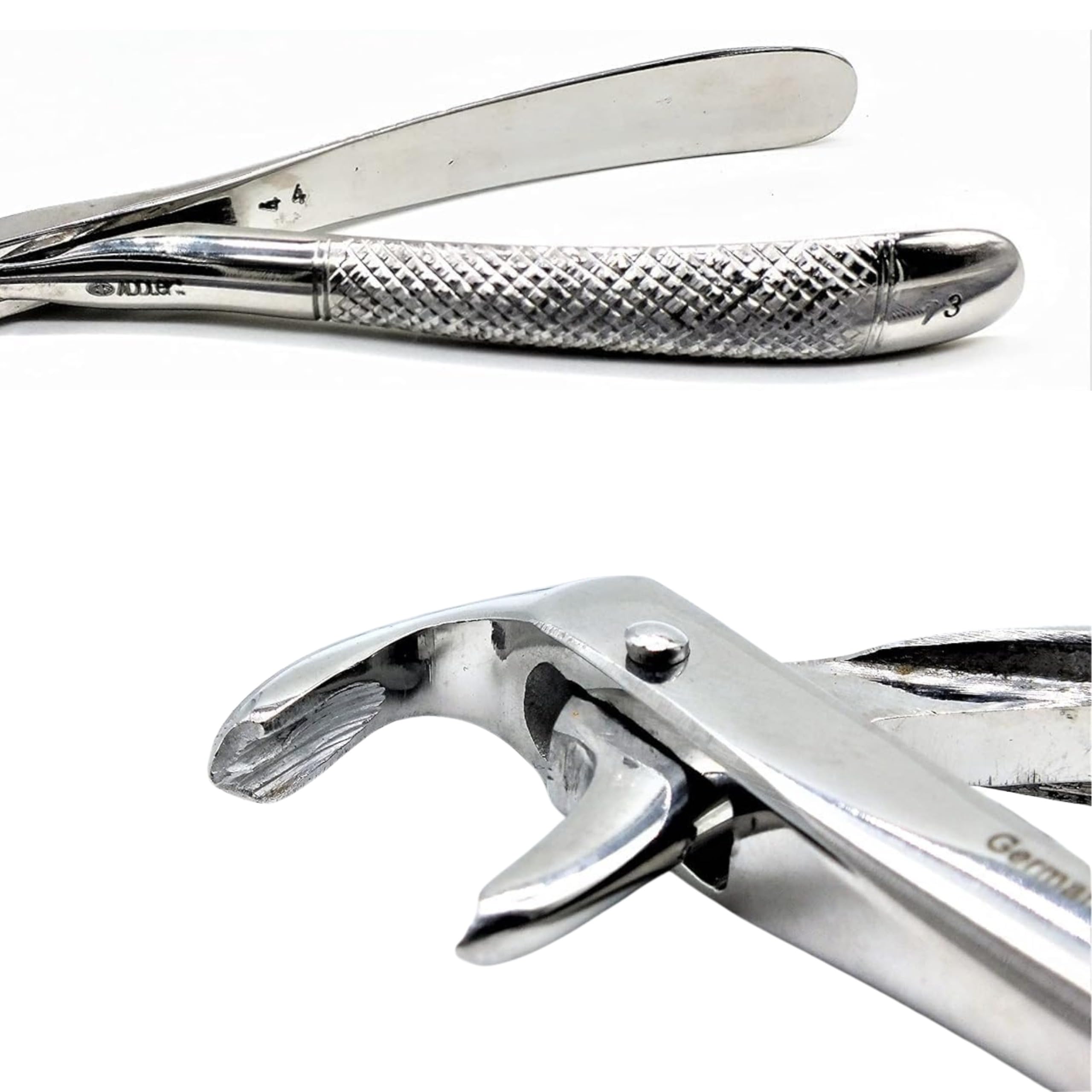 DENTAL LOWER ROOT FORCEP NO. 73 SERRETED HANDLE. LIFE TIME ANTI RUSTING WARRANTY.