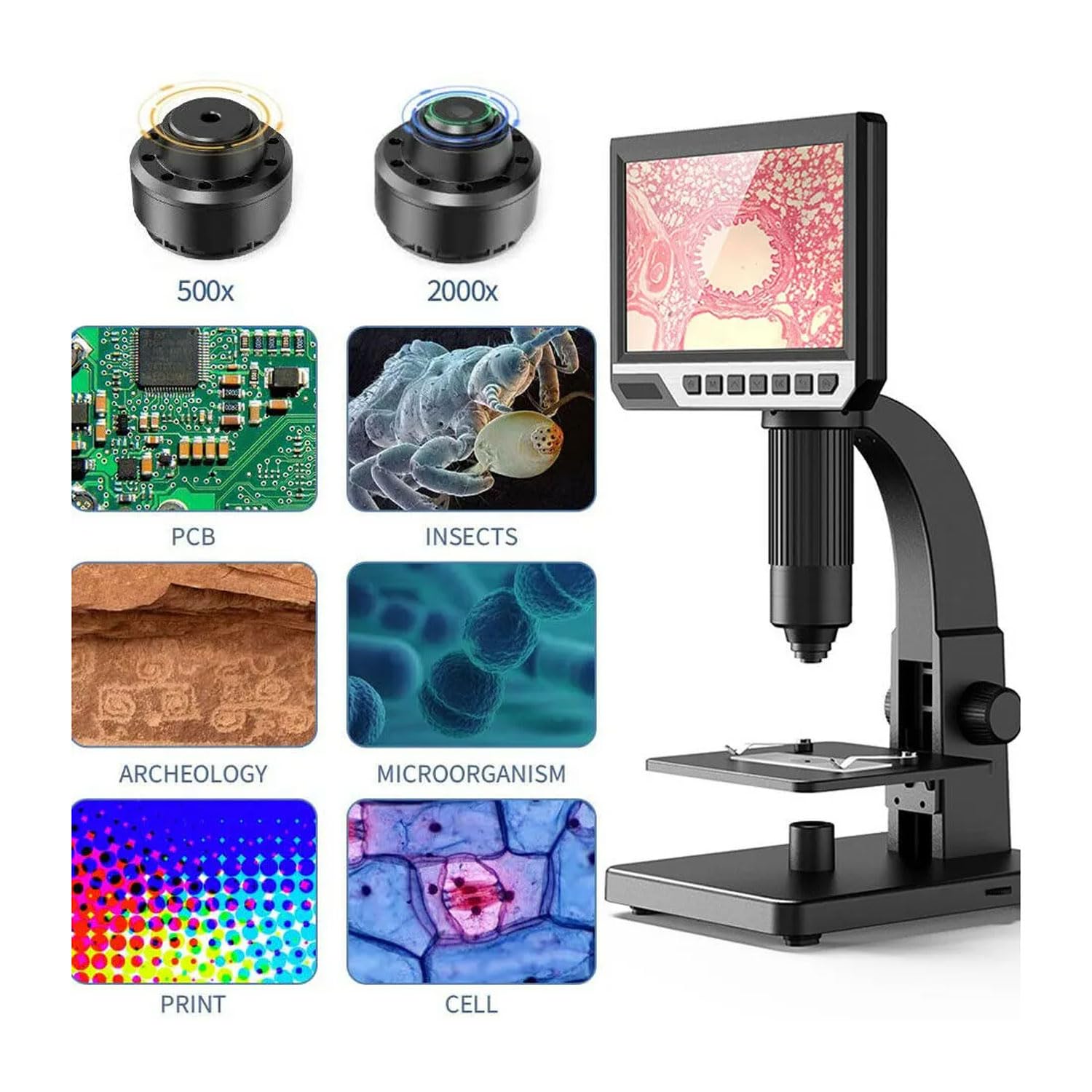 LCD Digitalmikroskop 2000X, 7-Zoll-Desktop-USB-Mikroskop mit LED-Lichtern, 12-MP-Kamera und 32-GB-Karte für Labor- und Münzinspektion