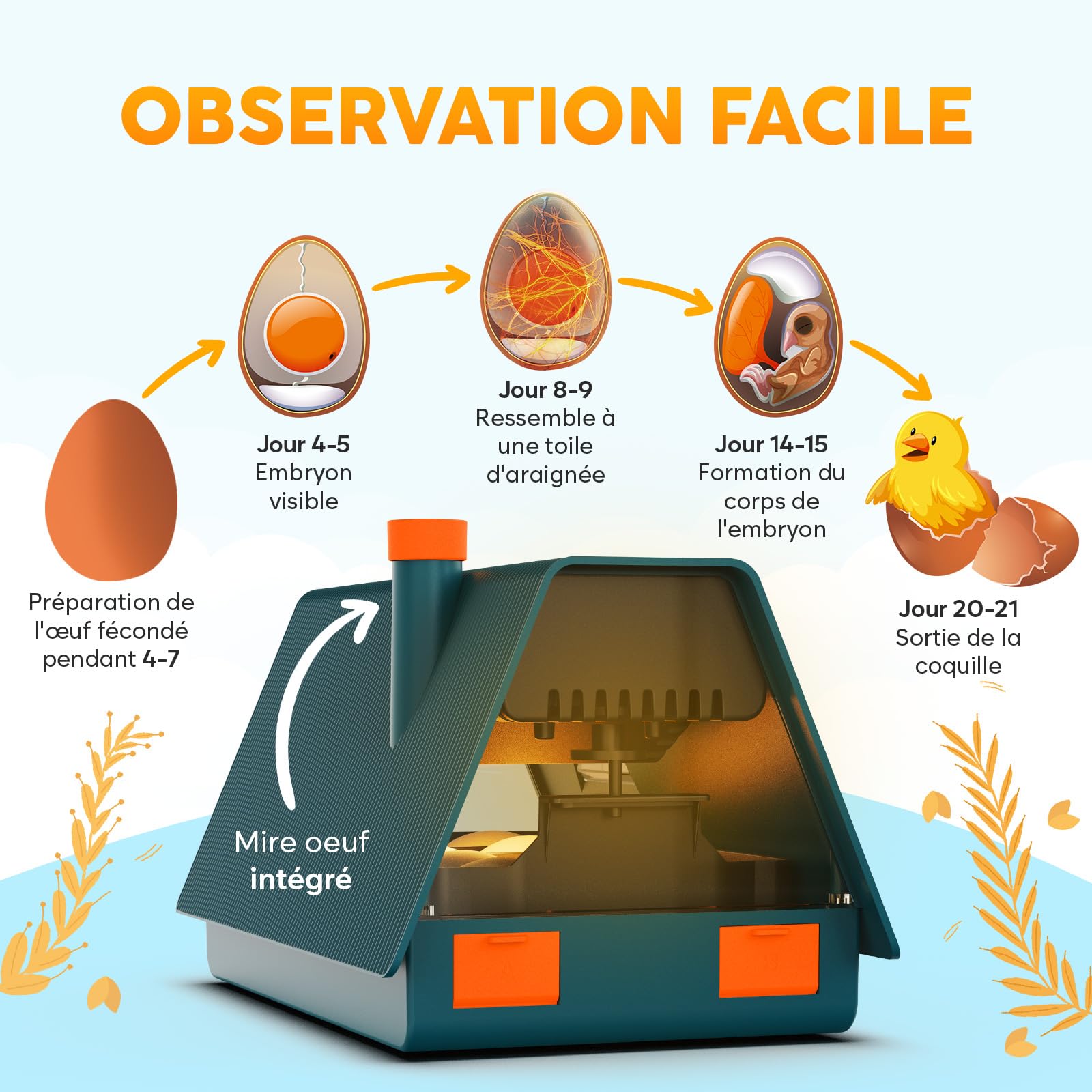Okkobi M10 Couveuse Oeuf Automatique - Idéal tous âges - Incubateur Retournement Automatique - Contrôle Humidité - Mire oeuf intégré - 10 œufs - Tout type volailles - Vert et Orange