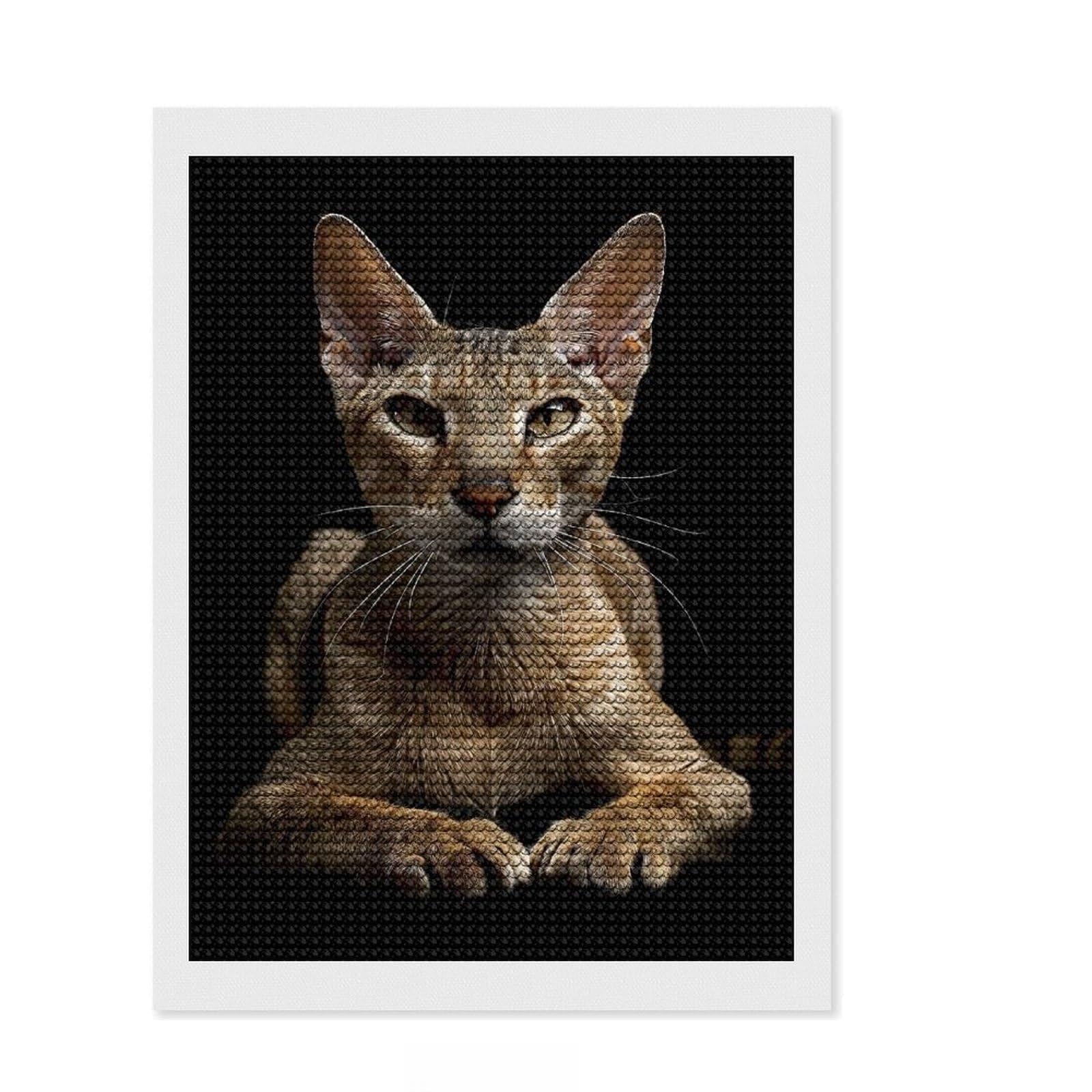 Junmoney Oriental Shorthair Diamond Painting Canvas Kit 12"x16", Christmas Gift, for Women, with Tool Kit, Relaxing Handmade Project