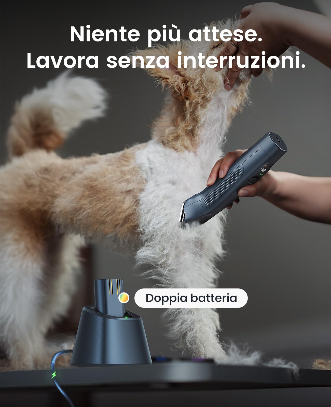 oneisall Tosatrice per Cani pelo lungo professionale, Tosatore Rasoio, 2 Livelli da Tosatrici Elettriche per cani/Gatti, Con batteria rimovibile e pettine in acciaio carbonizzato (Blu, 2 Batteria)