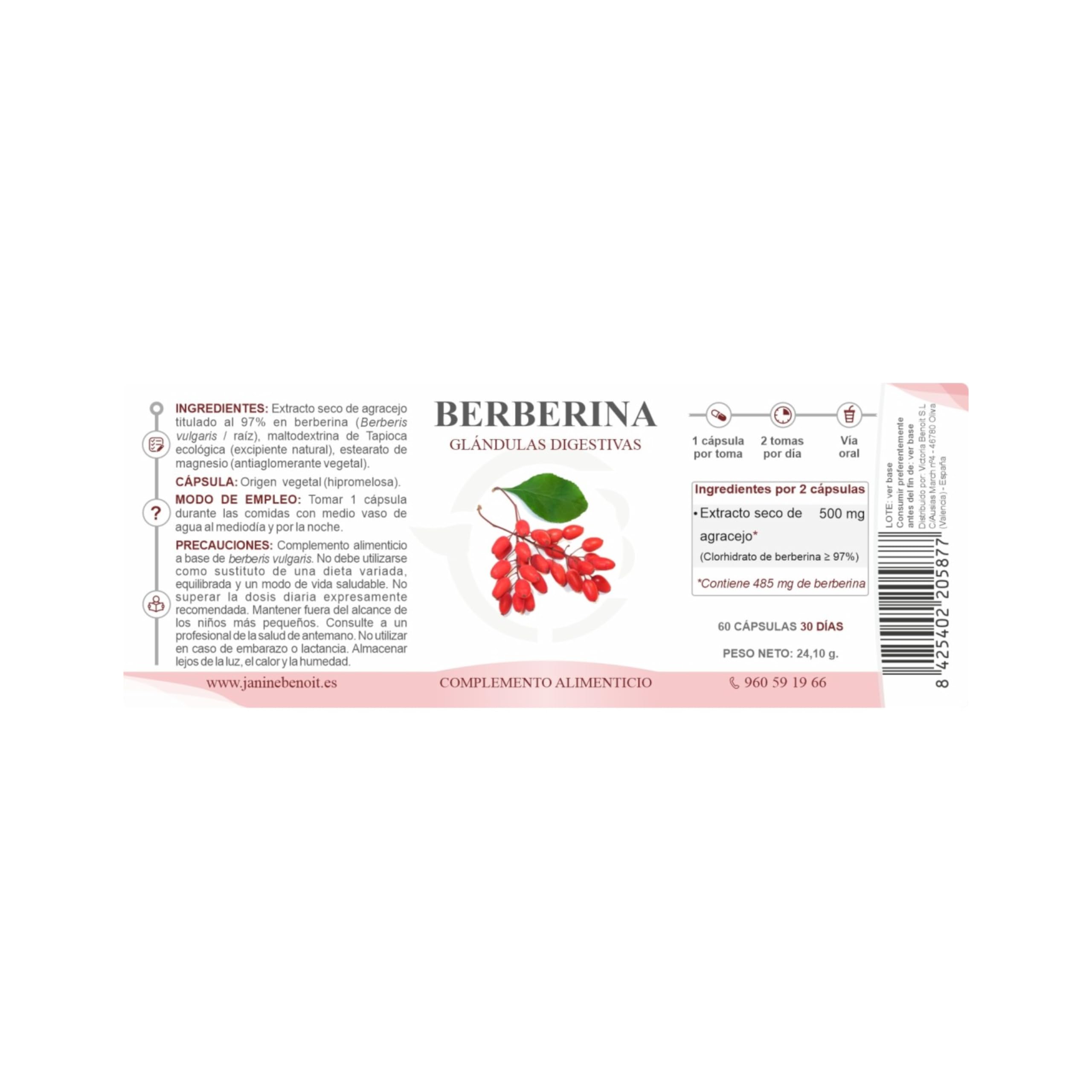 Berberina | Extracto de Berberis Vulgaris Titulado al 97% | 485 mg por Dosis | Regulador Metabólico | Energía Celular y Bienestar Digestivo | 60 Cápsulas Vegetales