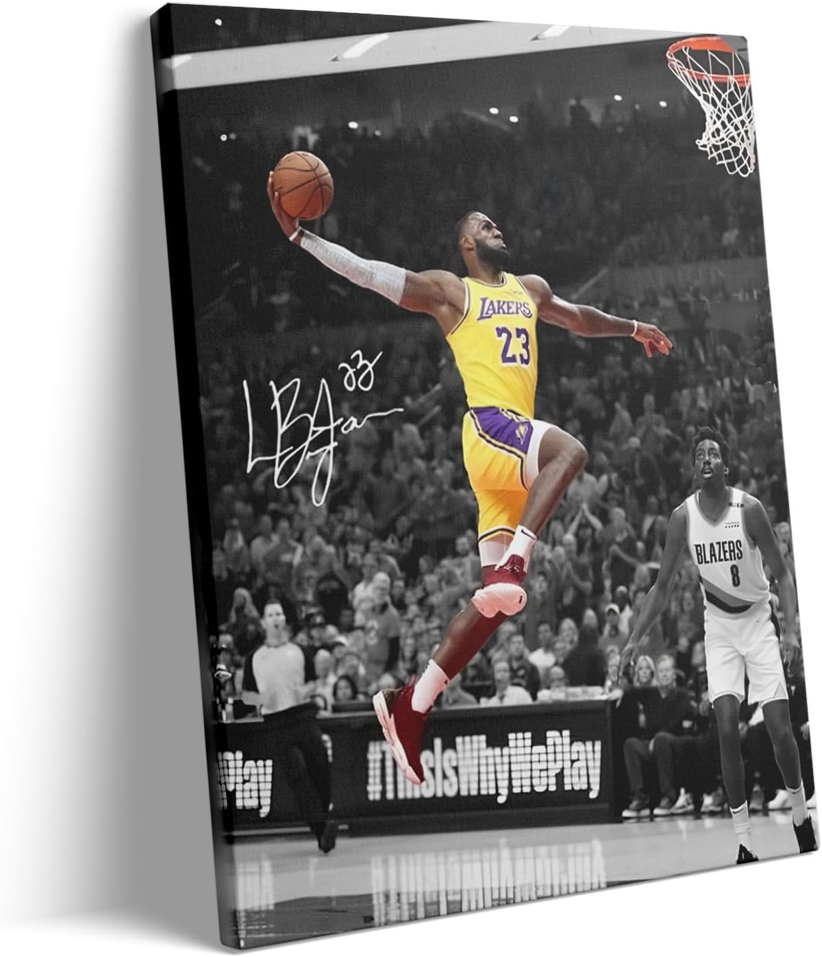jason terry lebron poster