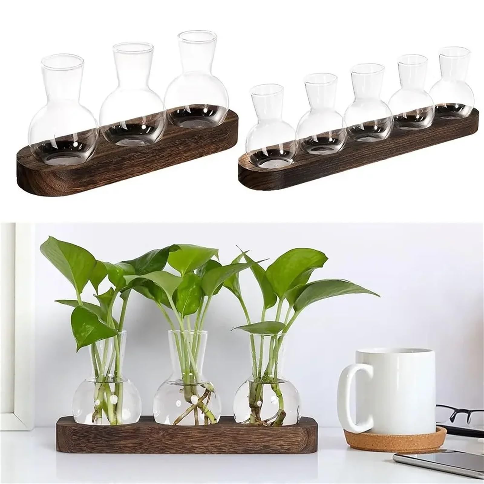 Vase en Verre Vase en Verre hydroponique Transparent Moderne avec Plateau Bois, Station de Propagation créative for Terrarium Plantes(Color2)
