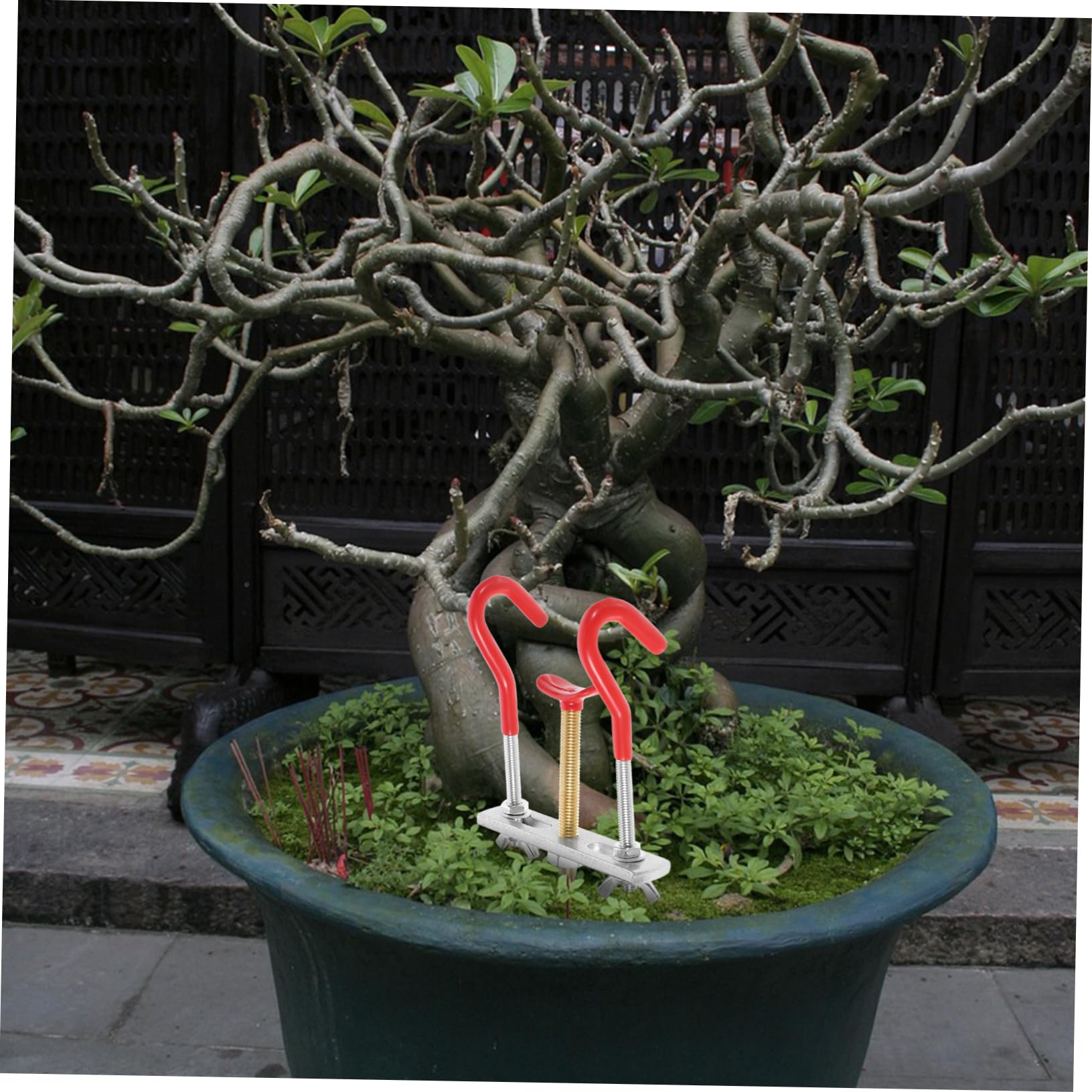 BESPORTBLE 5 Stück Abzweigeinsteller Bonsai-Drähte Bonsai-Baum-Kit Bonsai Baum Bonsaibaum Bausatz Bonsai-Werkzeug für den Garten Astscheren für die Gartenarbeit Astformungswerkzeug Metall